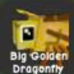 Big Golden Dragonfly