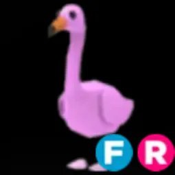 Flamingo FR