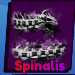 Spinalis