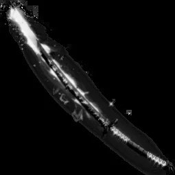 Black Ninja Katana