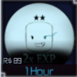 2x Exp 1h 89R
