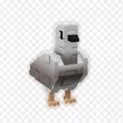 Turtle Dove