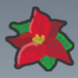 Poinsettia