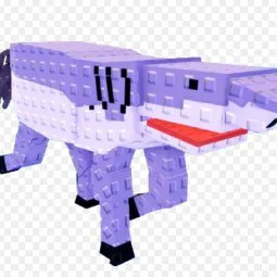 Squalo Cavallo