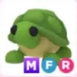 MFR Turtle