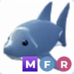 MFR Shark Adm
