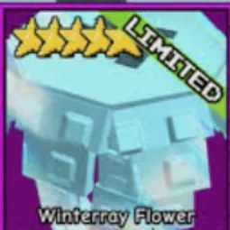 Winterray Flower