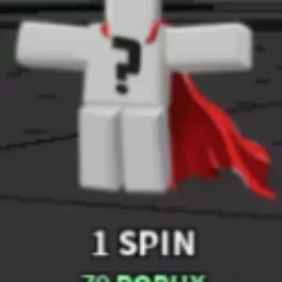 1 Spin 79R