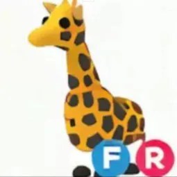 FR Giraffe