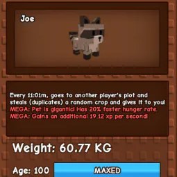 Mega Raccoon