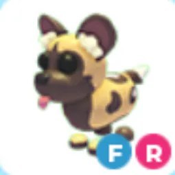 FR African Wild Dog