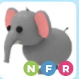 NFR Elephant Adm