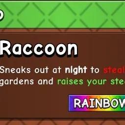 Raccoon Rainbow
