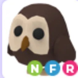 Owl NFR