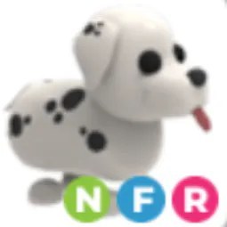 NFR Dalmatian