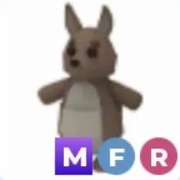 MFR Kangaroo Adm
