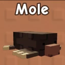 Mole