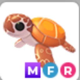 Sea Turtle MFR