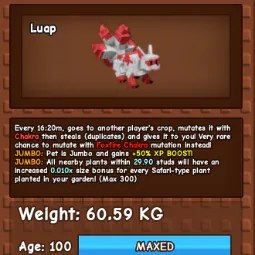 Jumbo Kitsune