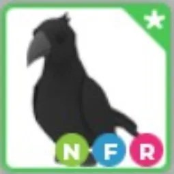 NFR Crow