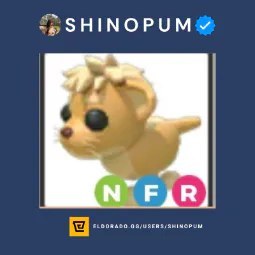 NFR Lion Cub