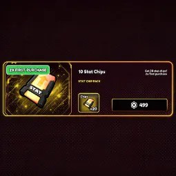 10 Stat Chips