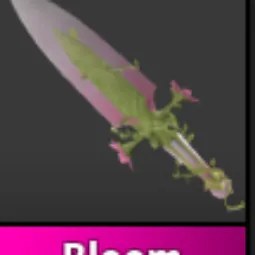 Bloom