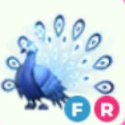 FR Moonbeam Peacock