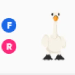 Swan FR