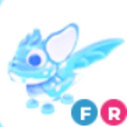 FR Arctic Dusk Dragon