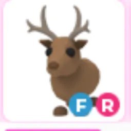 FR Reindeer