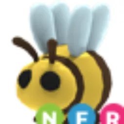 Bee NFR