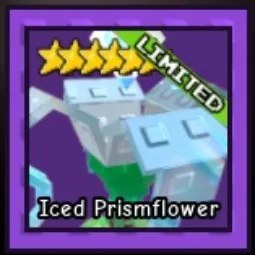 Iced Prismflower