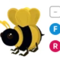 King Bee FR