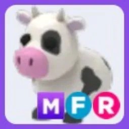 MFR Cow