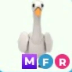 Swan MFR