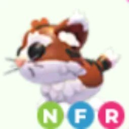 NFR Munchkin Cat