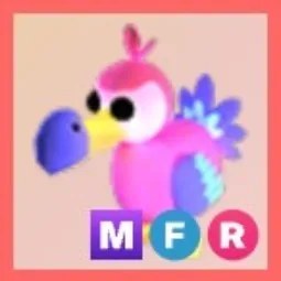 MFR Dodo