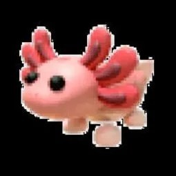 Axolotl MFR