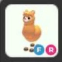 Alpaca FR