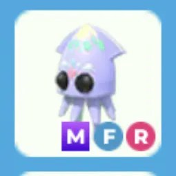 MFR Squid Adm