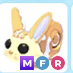 MFR Bunny Swirl Adm