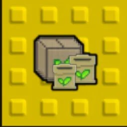 10000 Seeds