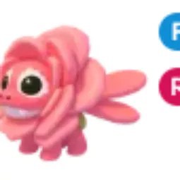 Rose Dragon FR