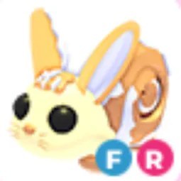 FR Bunny Swirl