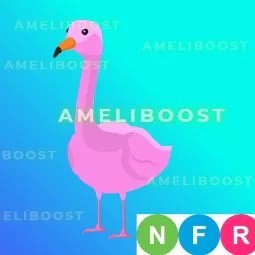 Flamingo NFR