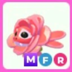 Rose Dragon MFR