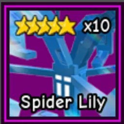 Spider Lily