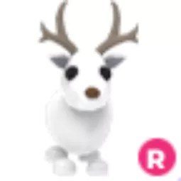 Arctic Reindeer R