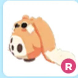 R Cabbit Adm